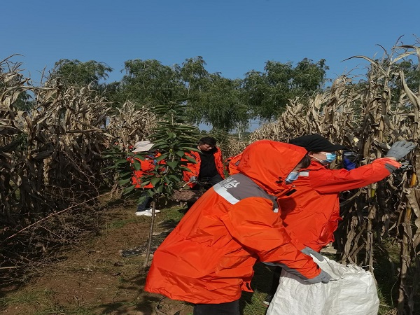 1680244915.jpg 圖片15.jpg